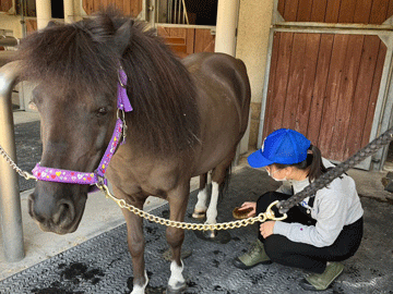 🐎 미키 호스랜드 파크 (미키 호스란도파쿠) 이미지 4